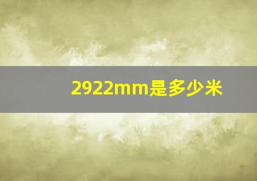 2922mm是多少米