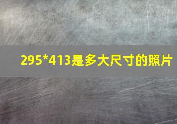 295*413是多大尺寸的照片