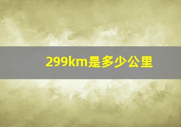 299km是多少公里