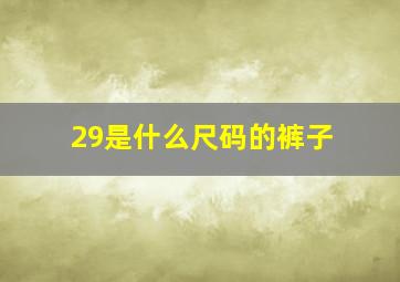 29是什么尺码的裤子