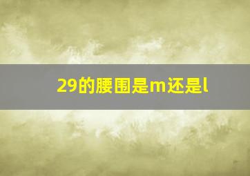 29的腰围是m还是l