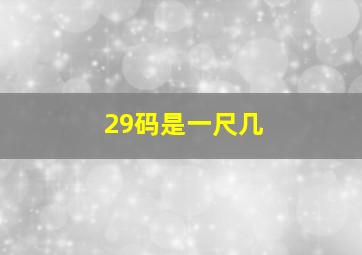 29码是一尺几