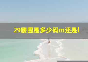 29腰围是多少码m还是l