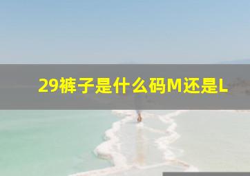 29裤子是什么码M还是L