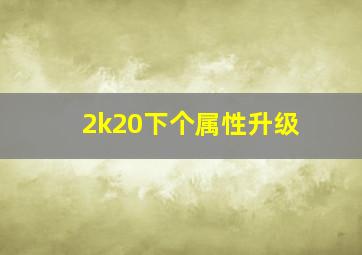 2k20下个属性升级