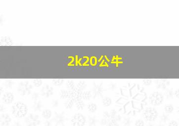 2k20公牛