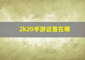 2k20手游设置在哪