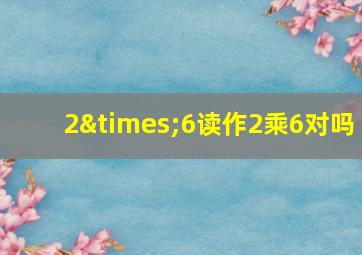 2×6读作2乘6对吗