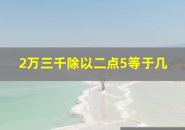 2万三千除以二点5等于几