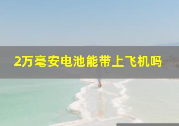 2万毫安电池能带上飞机吗