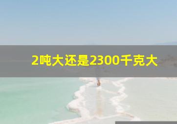 2吨大还是2300千克大