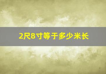 2尺8寸等于多少米长