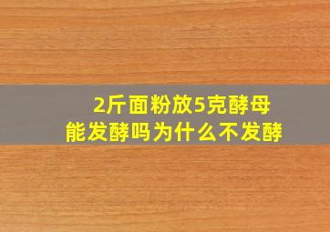 2斤面粉放5克酵母能发酵吗为什么不发酵