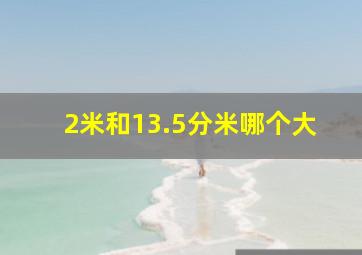 2米和13.5分米哪个大