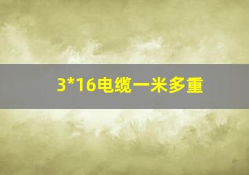 3*16电缆一米多重