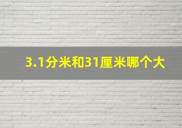 3.1分米和31厘米哪个大