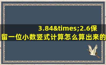 3.84×2.6保留一位小数竖式计算怎么算出来的数字