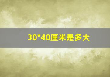 30*40厘米是多大