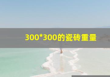 300*300的瓷砖重量