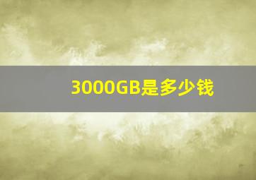 3000GB是多少钱