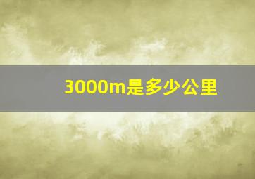 3000m是多少公里