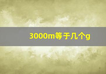 3000m等于几个g