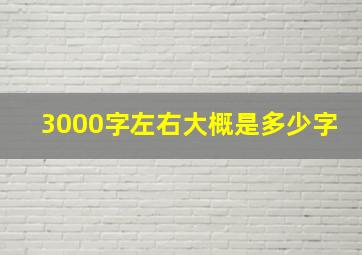 3000字左右大概是多少字