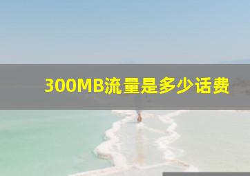 300MB流量是多少话费