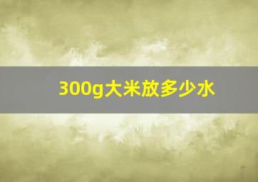 300g大米放多少水