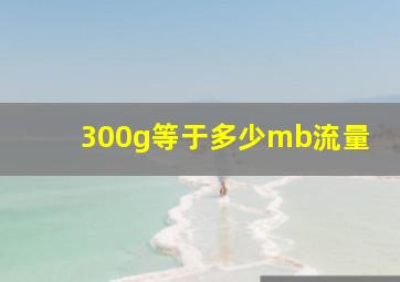 300g等于多少mb流量