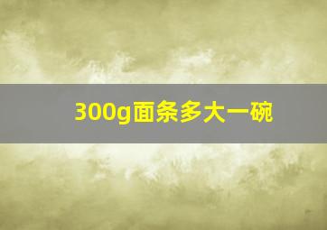 300g面条多大一碗