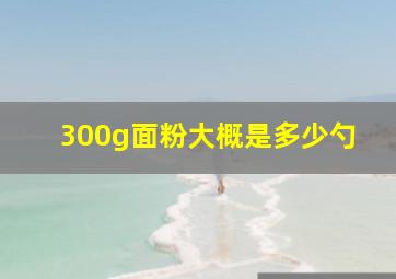 300g面粉大概是多少勺