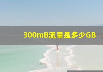 300mB流量是多少GB