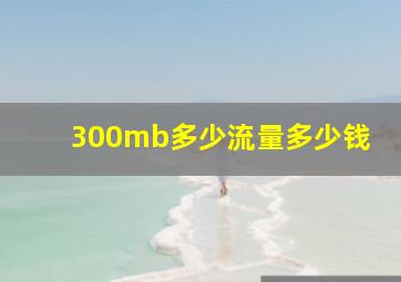 300mb多少流量多少钱