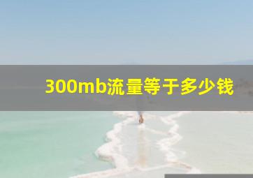 300mb流量等于多少钱