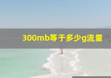 300mb等于多少g流量