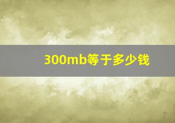 300mb等于多少钱