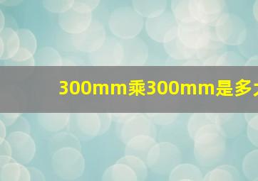 300mm乘300mm是多大