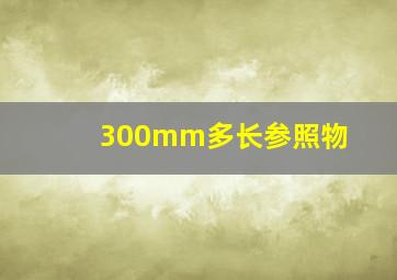 300mm多长参照物