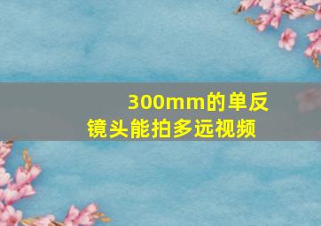 300mm的单反镜头能拍多远视频