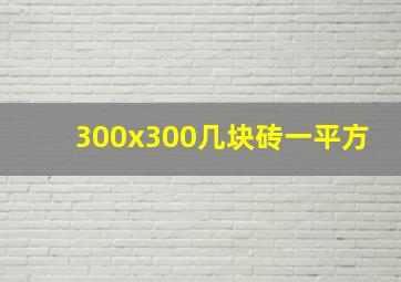 300x300几块砖一平方