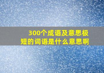 300个成语及意思极短的词语是什么意思啊