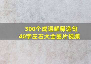 300个成语解释造句40字左右大全图片视频