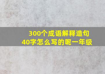 300个成语解释造句40字怎么写的呢一年级