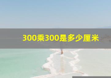 300乘300是多少厘米