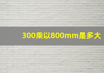 300乘以800mm是多大