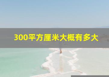 300平方厘米大概有多大