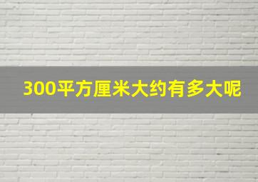 300平方厘米大约有多大呢