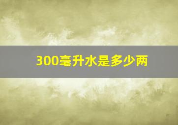 300毫升水是多少两