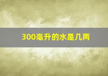 300毫升的水是几两